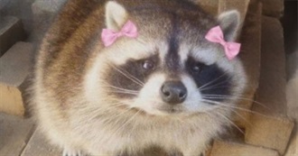 Worm&#39;s Top 10 Films