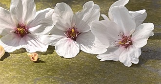 Travel on and off the Beaten Track