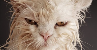 MELROSING&#39;s TOP 100 BOOKS!!!