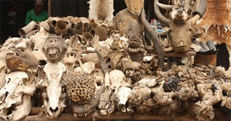 The Ultimate Western Africa Bucket List