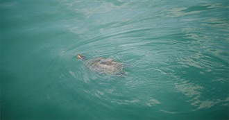 Anja&#39;s Fav Albums