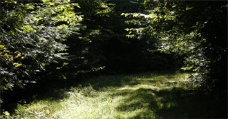 Noah&#39;s Top Books