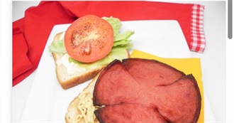 Big T's Food Eaten Today 1282