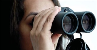 What Are You Looking At?