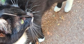 Things I&#39;ve Watched in the Last Week