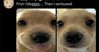 Mishas Favorite Movies