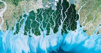 100 Different Movies Both Foreign and Domestic