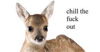 Spammingloveletters&#39; Current 50s Artist &lt;3