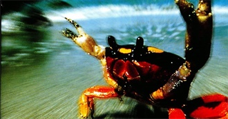 1997: 10 Awesome Albums