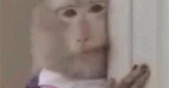 Maria&#39;s Movie List