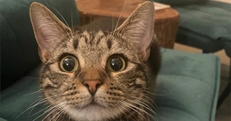 Charlie S Top 100 Films