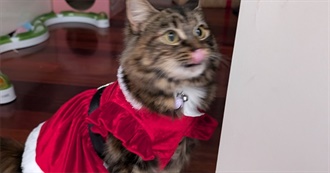 Jacks Favourite Moobies