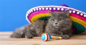 Ladycalico&#39;s 10 Years of May Reading