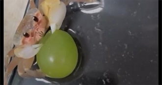 Eve&#39;s Books (Revised)