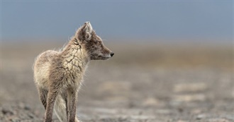 Floxu&#39;s Short &quot;Liked Movie&quot; List