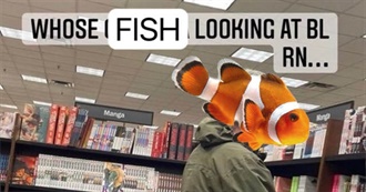 Videos That Video Likes