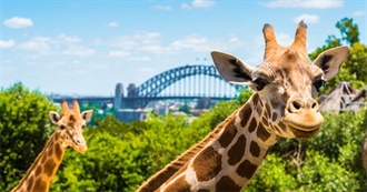 Animals at Taronga Zoo