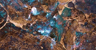 Top 100 Books From Bookwisp