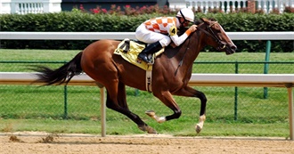 100 Forgotten Films, Starting With Seabiscuit