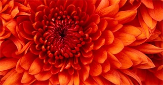 Travel to Me...No Me...No Me!!!!!!!