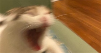 Gilles&#39; Favourite Movies :)