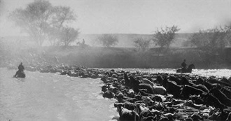 Chris J 500 Favourite Films