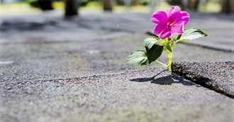 Everything Ponni Loves: Part 1