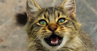 Taylor&#39;s All Time Top Movies