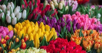 Book Titles for Spring