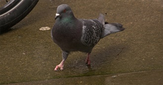 Syl&#39;s Favorite Games