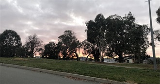 TV Show Recommendations