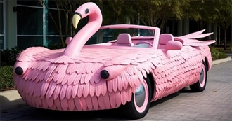 Items Newly Purchased 26