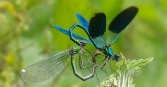 Aktualizacja Moich Książek