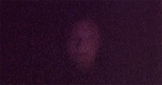 Last 12 Movies Chase Watched as of 2/28/23