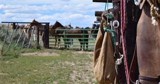 10 Westerns to Start