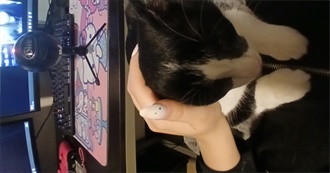 Heaven&#39;s Top 100 Movies