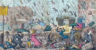 It's Raining Cats and Dogs