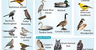 Creatures Jay Saw From September 21st 2024 to July 21st 2025