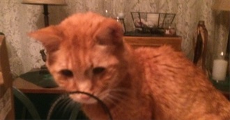 Movie&#39;s on Ryne&#39;s Shelf