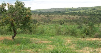 Birds Seen in Dores Do Indai&#225;
