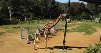 Bucket List of Travel