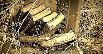 50 Forgotten Treasures