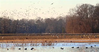 Federally Protected Areas of Alabama