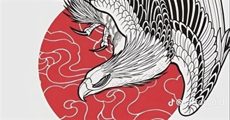 Les Trucs Que Paul1 Kiffe