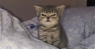 Sunshine&#39;s Favorite Movies