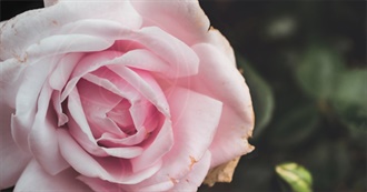 Anna Katherina&#39;s Favorite Books