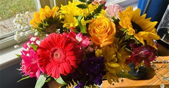 Movies on Eddies List Beginning With Letter S