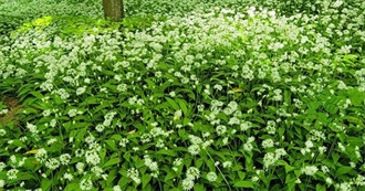 Book Goals 2023 for Me