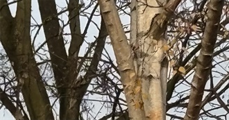 Late November 24 Books