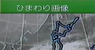 Signalwave/Broken Transmission Albums